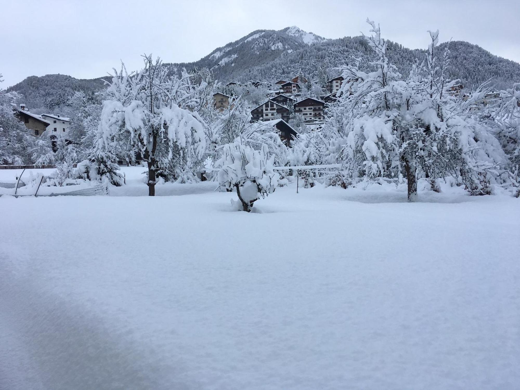 Sulle Dolomiti A Casa Della Scrittrice Daire Forno di Zoldo Dış mekan fotoğraf